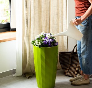 32K views · 80 reactions | Grow, Nourish, Thrive: Gardening Tips For Beautiful Blooms! | 5-Minute Crafts Play | Facebook