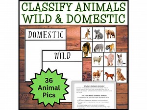 Classification des animaux domestiques et sauvages, tapis de tri et anecdotes amusantes Maternelle Préscolaire Préscolaire 1re année Classification Centre des sciences - Etsy France