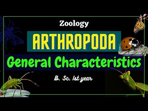 Phylum Arthropoda II General Characteristics II Zoology II B. Sc.