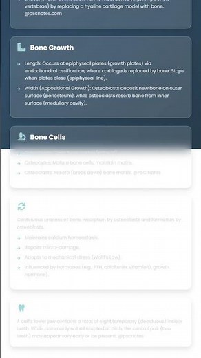 Bone Growth, Development, and Remodeling