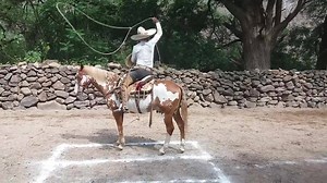 93K views · 1.2K reactions | Un bonito pial floreado del buen amigo Jorge Loza famosos chelinos! | Piales mi Pasión | Facebook