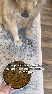 27K reactions · 1.5K shares | DM-01™ Daily Multivitamin is vet-formulated to address common skin issues such as yeasty paws, itching, and paw-licking. Its 12 clinically + scientifically studied ingredients deliver key nutritional benefits that proactively support long-term health. | Dog is Human | Facebook