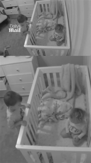 A sibling's bond is so special ❤️ | Daily Mail Video