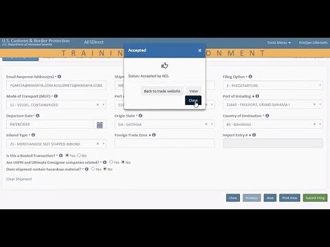 ACE Portal EEI Filing Webinar
