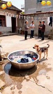 1K views · 1.4K reactions | Washing machine #reelsvideo #follow #funnyvideos #comedyvideos #explorer #reelitfeelit #highlights | Tania Sen Majumder | Facebook