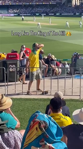 The 28 Year Old Male on Instagram: "@liltrait_ aka The King of The Hill rocked the ancestors of Adelaide oval setting the scene for Scott Bolands 6/7 a week later at the G, and a cultural phenomenon driven by you degenerates, that saw innocent lager drinkers stand up and RESIST against the evil security guards booting us out for deleting beers and building snakes. Long may he reign"