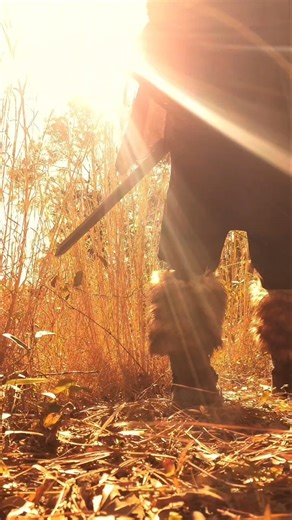 #skyrim nord traveling