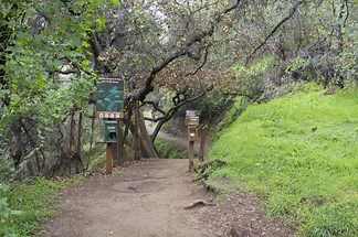 Monrovia Canyon Waterfall Hike