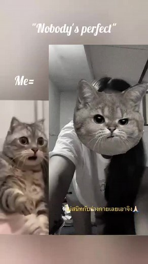 line:103 My Type #kkkk #5000k #12345678910_vin #$