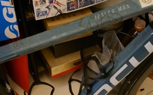 《脆瓜城主》Wahoo Elemnt Roam 开箱评测