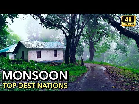 Top 10 Monsoon Forest Destinations in South India | 4K UHD