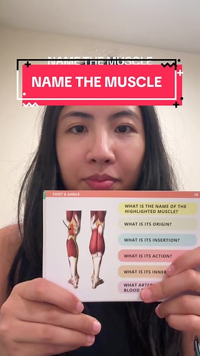 Name the Muscle: Test Your Knowledge in Anatomy