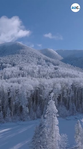 azcentral on Instagram: "Arizona Snowbowl, the ski resort in the San Francisco Peaks north of Flagstaff, received 18 inches of snow between Feb. 13-15. Video by: Arizona Snowbowl 🎥 #arizona #snowbowl #weather #phoenix #flagstaff"