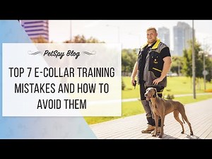 Top 7 E-collar training mistakes and How to avoid them. PetSpy dog training guide