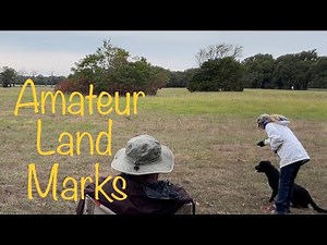 Retriever Field Trial - Amateur 1st Series (Winning Dog)