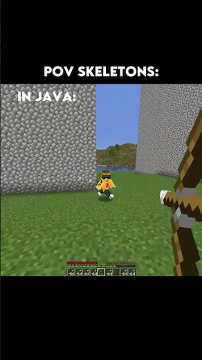 Minecraft bedrock vs java skeleton