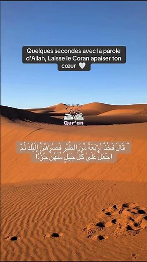 Surah Al-Baqarah v260 #quran #surahalbaqarah #islamicreminder #recitation #islamicvideo #quran #f...