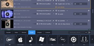 What Is Movavi Video Converter