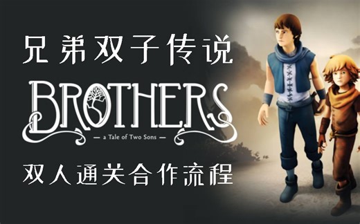 【兄弟：双子传说】双人同屏丨合作剧情通关全流程