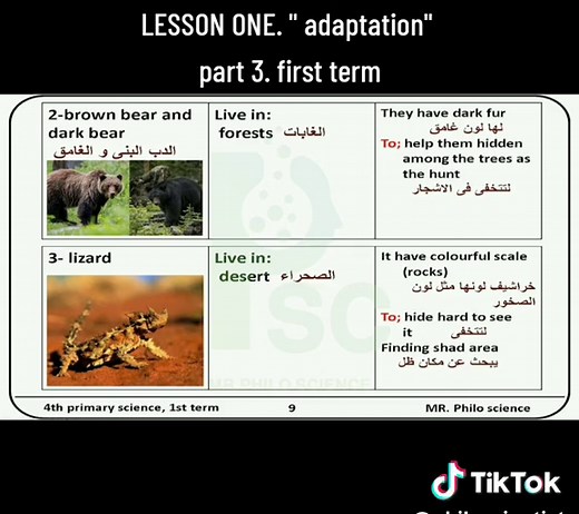 science. grade 4. unit 1. LESSON ONE.