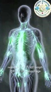 #human body function #its working capicity #