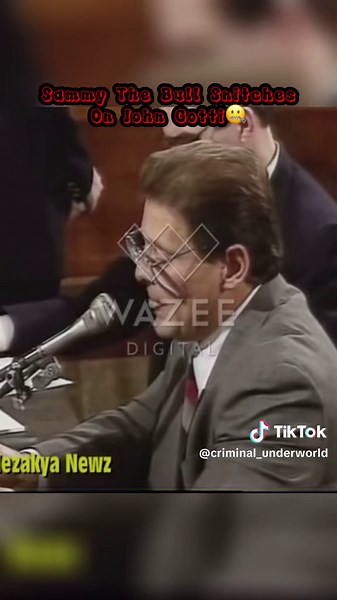 Sammy the Bull tells Everything #truecrime #Mafia #sammythebull #johngotti #gambinofamily #Mafiaboss #MOB #Snitch #viralvideo #fy #fyp