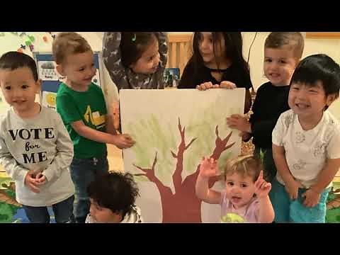 Nature Outdoor Curriculum at Kiddie Academy of Pasadena