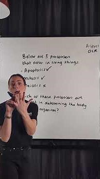 OCR A-level Biology - What processes are involved in body plan formation?