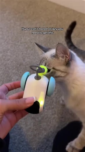Keep your cat entertained and active! Smart interactive toy with remote control for endless fun. Use coupon ILoveTechyTowers to get 10% OFF your order and enjoy FREE shipping! #TechyTowers