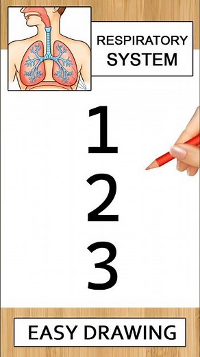 123 into Class 10 Human respiratory system drawing easy #class10 #respiratorysystem #diagram