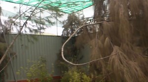 1M views · 20K reactions | 5000 #مقنين ربي يبارك في #محمية #المدية ديديكاس لل 26❤ | حساب للعمل وليس لتعارف | Facebook