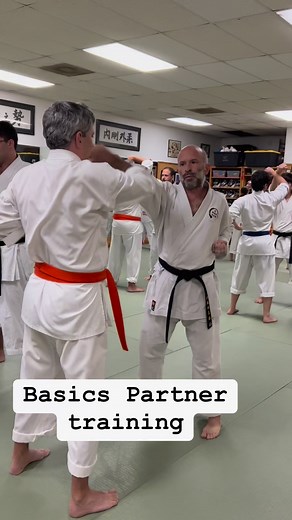 Basics Training with Partner #Karategojuryu #martialarts #karateka #karatelife | Okinawa Goju Ryu Karate Do International