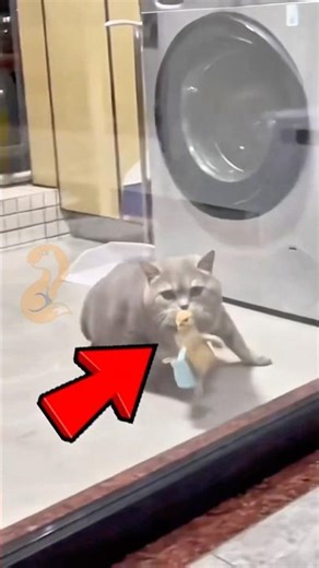 Growing as a friend 😭