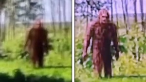 26K views · 770 reactions | Top 10 Bigfoot Sightings Caught On Google Earth | Most Amazing Top 10 | Facebook