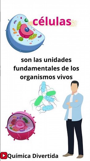 🔬🧬 Cell vs. Atom ⚛️ What's the Difference? 🤔 Fun Chemistry