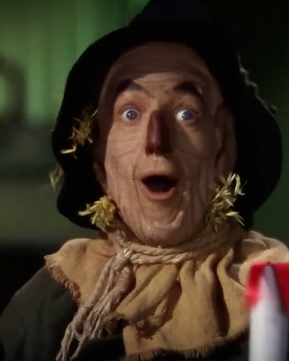 The Wizard Gives Scarecrow A Diploma- Wizard Of Oz Comedy Recap