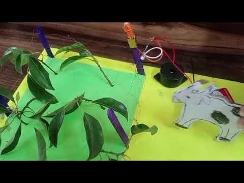 Crop Protection System