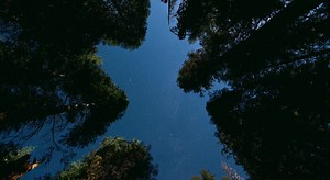 Nature Time Scape Hd Live Wallpaper