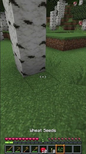 Minecraft Guide: How to get Wheat Seed #shortvideo