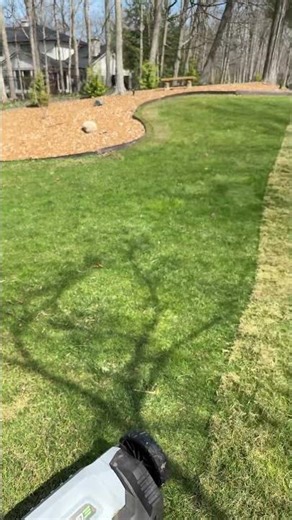 Ego Dethatcher half yard completed #ego #egopowerplus #diy #yardwork