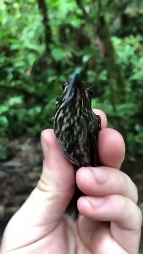 1.5M views · 53K reactions | deen-e-islamic hadees | deen-e-islamic hadees | Facebook