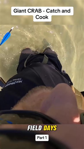 35K views · 373 reactions | GIANT CRAB - Catch and Cook on a camp fire #camping #crabs #fishing #... | Paul Roberts | Facebook