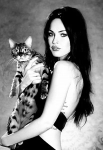 Megan Fox in 'Jennifer's Body': A Nostalgic Tribute