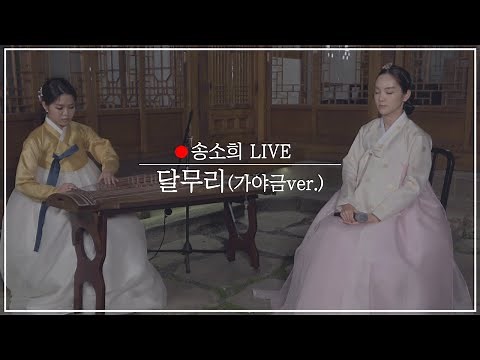 [🌕_Live] 송소희(Song so hee) - 달무리(Moon Halo) 라이브(가야금ver.)_작곡: 안예은