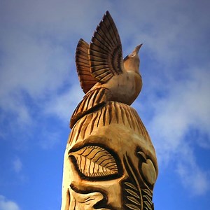 15K views · 84 reactions | There's an inspirational story behind this incredible family tree ♥️ | BBC Nottingham | Facebook