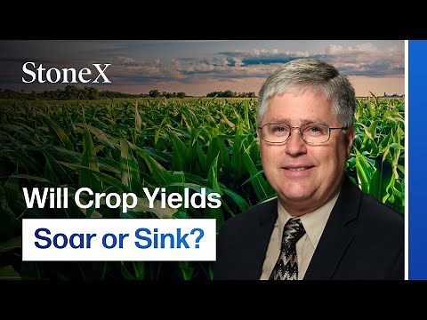 How Big are This Year's Crops? Corn and Soybean Yield Possibilities Explained