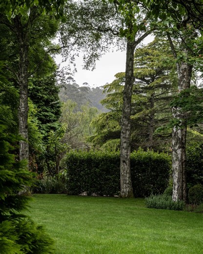 What is landscape design and how does it lead to more beautiful gardens? In this video, Zac Jones, one of our Landscape Architects, shares how thoughtful design transforms outdoor spaces into places that feel balanced, functional, and deeply connected to nature. If you’re ready to start your own garden journey, book a design consultation with our team today. 📞 61 3 9017 4344 #WhyteGardens #WhyteLandscapes #MelbourneLandscaping #MelbourneGardenDesign #LandscapingMelbourne #MelbourneOutdoorLiving