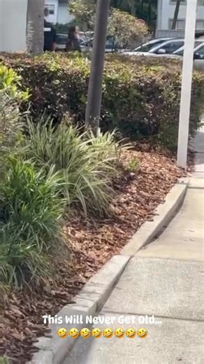 Man I laugh at this video and reshare it every time it comes up!!! Check out a mad tenant who hadn’t paid her rent in 3 months, she was evicted and on eviction day this is how she acted.. #CommunityManager #RentDue #EVICTION | Cousin Tae