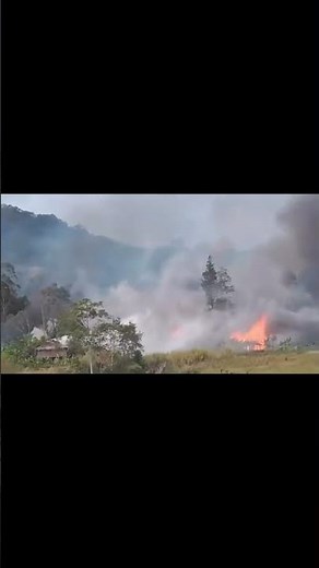 Live fight in Enga Wapenamanda fight 2 with massive killings