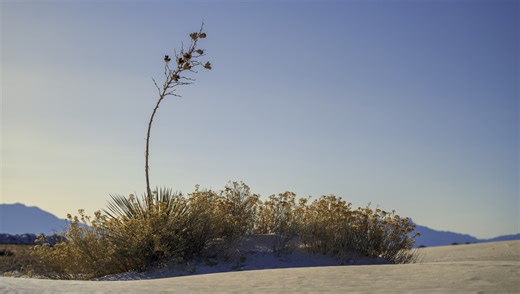 Why Your Camera’s Picture Profiles Matter More Than You Think